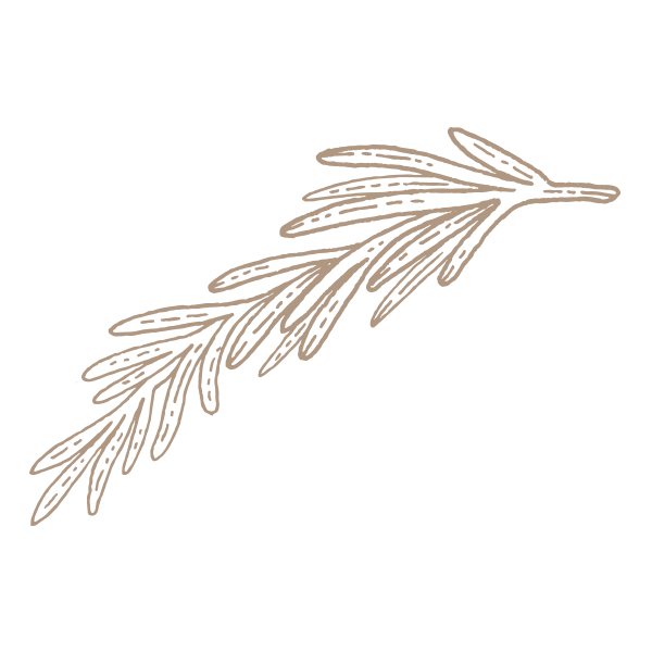 gewurz